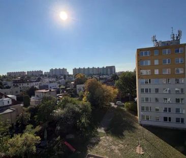 Pronájem, P-4, Lhotka, 3+KK, 54,9 m - Photo 5