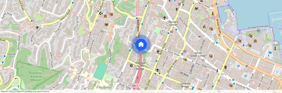 28 MacDona MacDonald Crescent, Te Aro, Wellington City