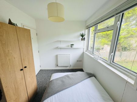 A Comforting 6 Double Bedrooms for Rent in Brighton - Photo 5