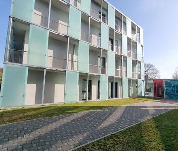 Schöne 1-Zimmer-Wohnung an den Kaiserthermen mit 19,92 m² Wfl. - Photo 5