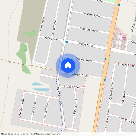 21 Russell Street, Gillieston Heights, NSW 2321