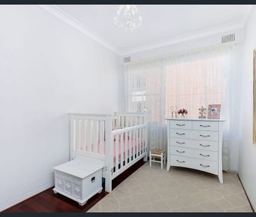 Updated, Light Filled Parkside Residence - Photo 4