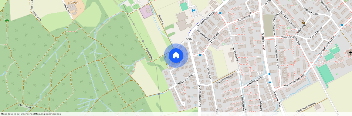 Haldenweg 11, 8153 Rümlang