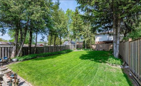 For Lease - 29 Jeanette Street Unit# Main, Toronto, Ontario - Photo 4