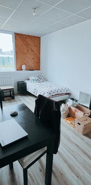 Location Appartement 1 pièce 20m² TOURS 37000 - Photo 1