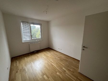 WINTERAKTION – Erster Monat Mietfrei! Gute Anbindung im modernen Neubau - Foto 5