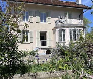 Live in an emblematic place in the famous Villa Tintin - Photo 4