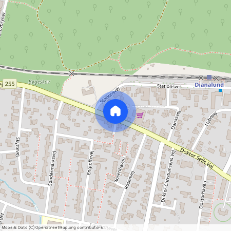 Dr. Sells Vej 47 1 1, 4293 Dianalund