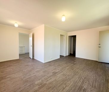 Freshly Renovated Family Home in a Quiet Cul-de-Sac - Photo 2