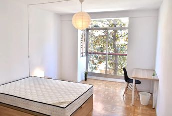 Calle de la Liberación, Madrid, Community of Madrid 28033