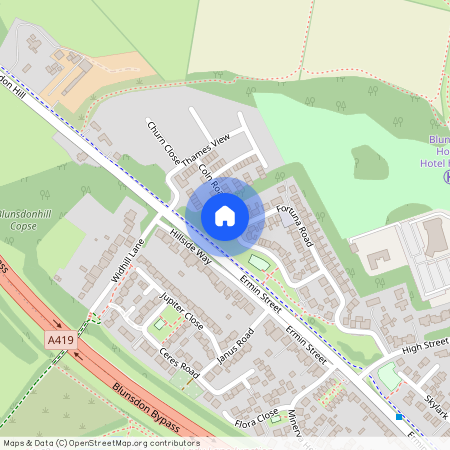 Fortuna Road, Swindon