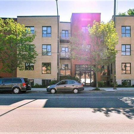 Pet Friendly 2bedroom 1bathroom - Photo 3