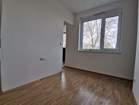 Gut aufgeteilte Singlewohnung in Eggenberg - Alte Poststraße 98/20 - Photo 3