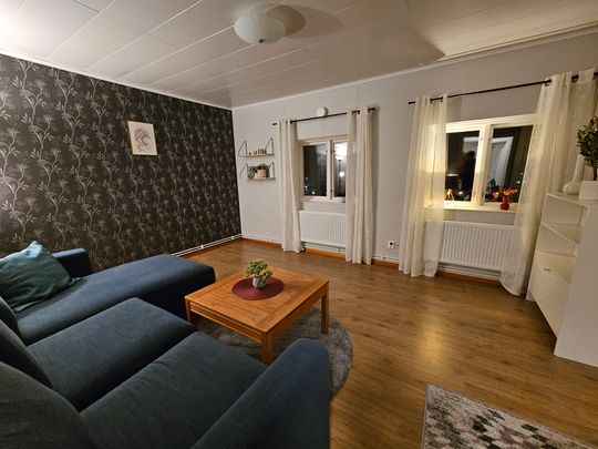 Laestadiusvägen, Pajala - Foto 1