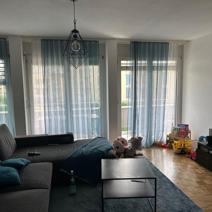 Ch. de Chanélaz 3*5A - Marais 2*6, 2016 Cortaillod - Photo 1