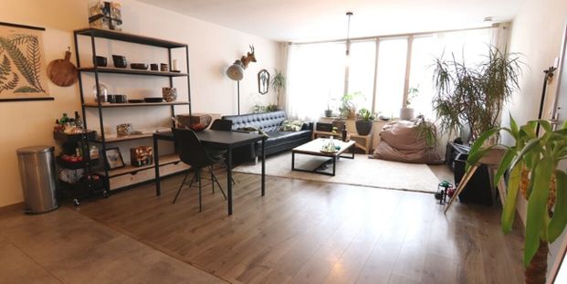 Appartement te huur in Brugge voor € 775 met 2 slaapkamers - Foto 1