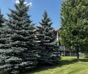 1 room apartment of 94m² in Gatineau - Photo 2