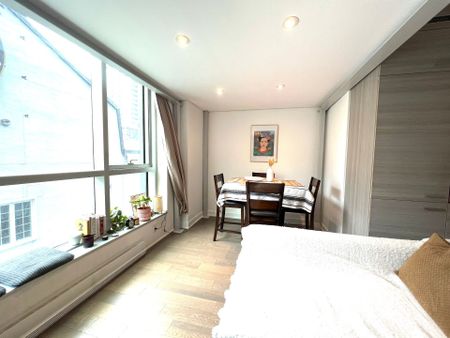 Loft/Studio à louer, Montréal (Ville-Marie) - Photo 4