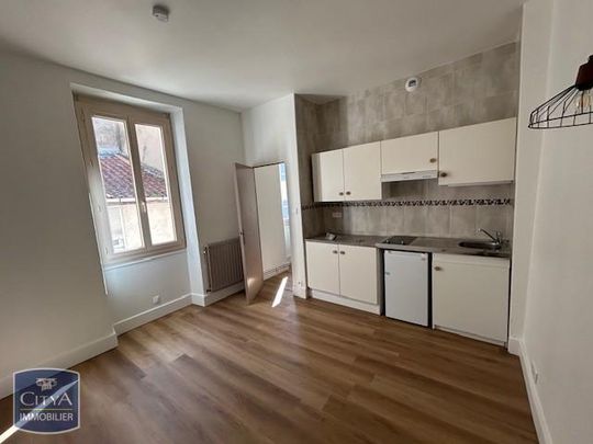 Location Appartement 1 pièce 19m² PAMIERS 09100 - Photo 1