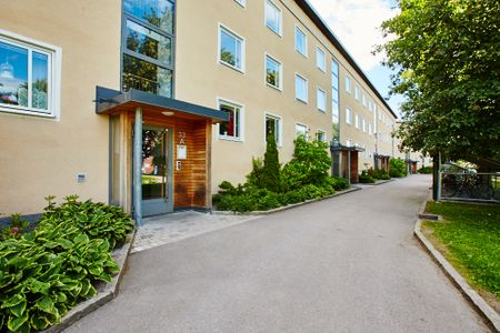 Pettersbergsgatan 33 D - Photo 4