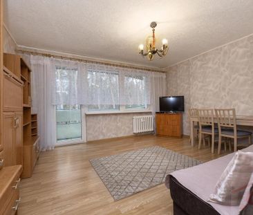 2 rozkładowe pokoje z balkonem Police (429428) - Photo 1