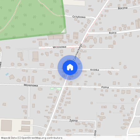 Stefana Czarnieckiego, Poznański (pow.), Puszczykowo