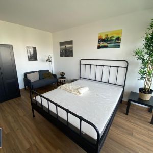 Location Appartement 1 pièce 16m² HOENHEIM 67800 - Photo 2