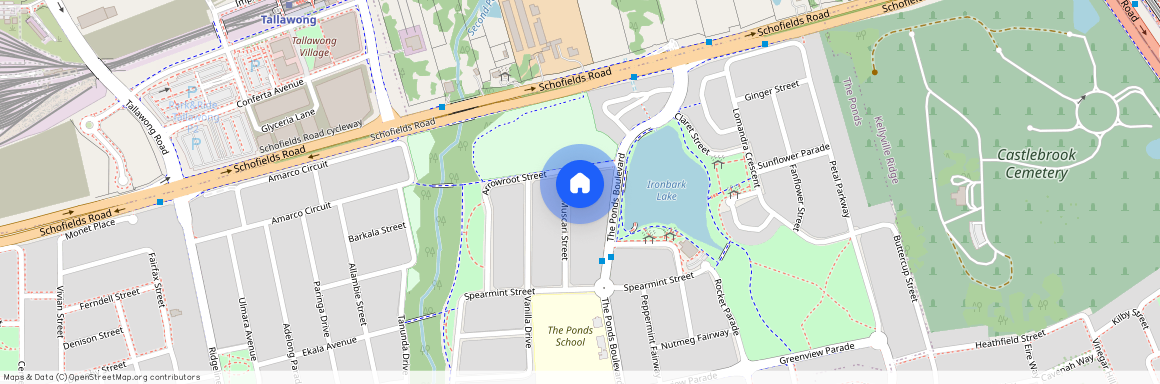 3 Muscari Street, NSW 2769, The Ponds