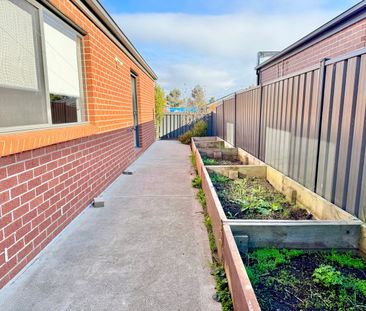 Modern Family Home in Manor Lakes! - Photo 3