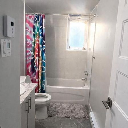 3 1/2 flambant neuf avec electros - Photo 4