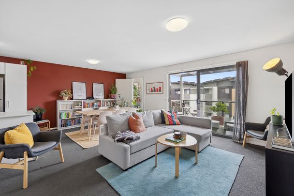 18/2 Trist Street, Franklin ACT 2913 - Apartment For Rent | Domain - Photo 1