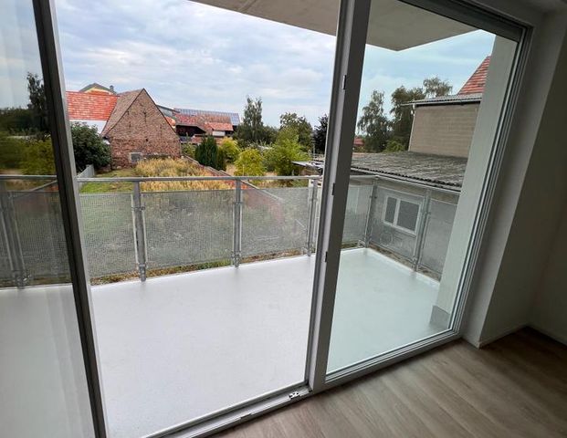 Wohnen im "Unner Harder" in Rülzheim von 52 bis 88 qm - Foto 1