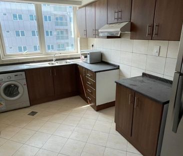 Available, Chiller Included, HUge Size - Photo 1