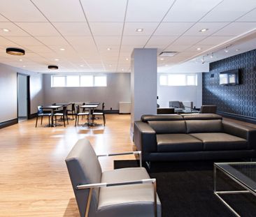 Appartement à louer - Montréal (Ville-Marie) (Centre Ouest) Apparte... - Photo 5