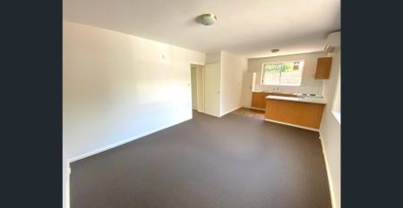 SPACIOUS TWO BEDROOM IN LEAFY TREE-LINED STREET - Photo 2