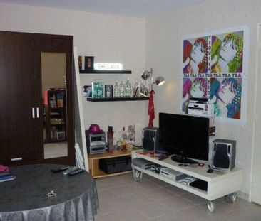 Location appartement 2 pièces 57.2 m² à Vienne (38200) 4 - Photo 2