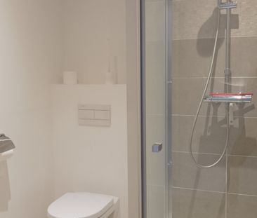 Location Appartement 1 pièce 18m² RENNES 35000 - Photo 4