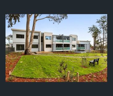 Modern Ground-Floor Living in a Convenient Location - Photo 5