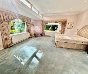 4 bed detached bungalow to rent in Elstree Road, Bushey, WD23 - Photo 5
