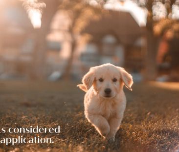 Three Bedroom Home - Photo 6