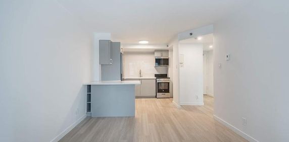 1 495 $ / mois • Dernier mois GRATUIT (bail 13 mois) - Photo 2