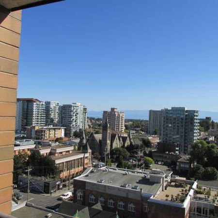 FURNISHED 1 Bdrm CONDO with a Spectacular View - Photo 1