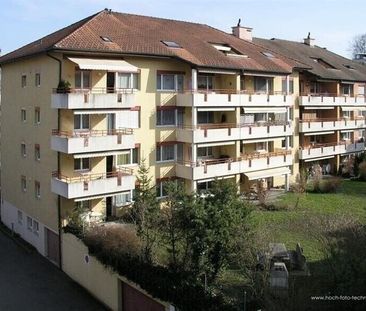 Ensoleillé, en ville, au bord du lac - Photo 4