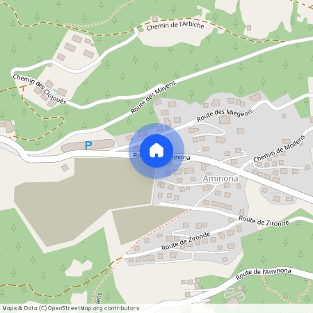 Aminona 3963, Aminona