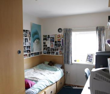 Standard Shared - Photo 2