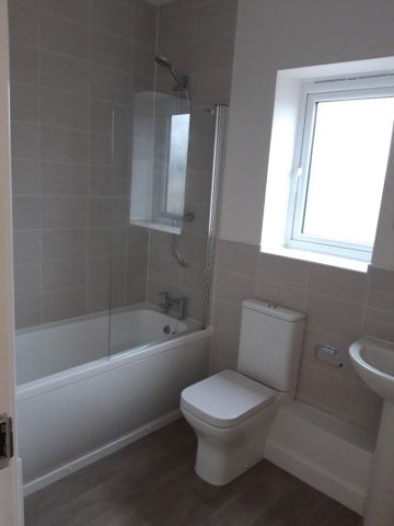 Wincanton Street, Liverpool - Photo 4