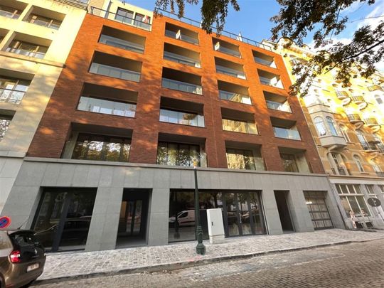 Appartement 1 chambre - Photo 1