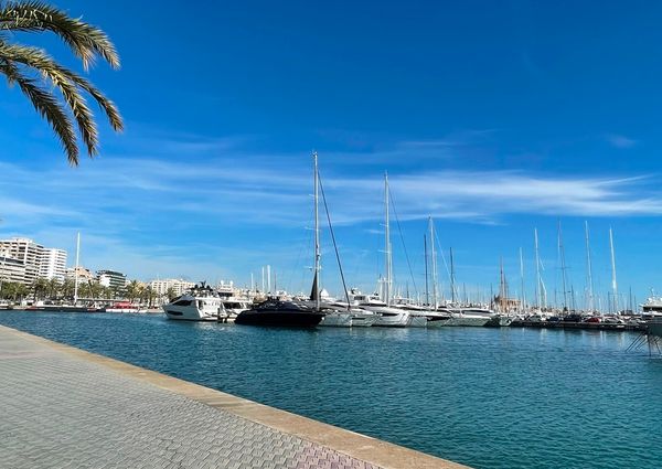 ALQUILER POR MES, a partir de julio, amueblado, 2 dormitorios, terraza, Paseo Marítimo