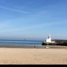 Ashfield Rise, Balbriggan, North County Dublin - Photo 1