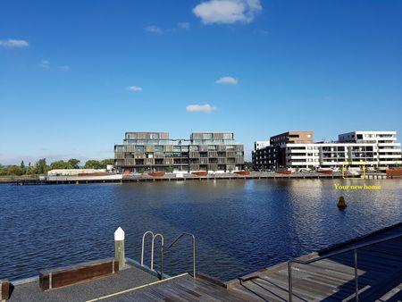 3/85 Eyre Street, Kingston ACT 2604 - Apartment For Rent | Domain - Photo 2